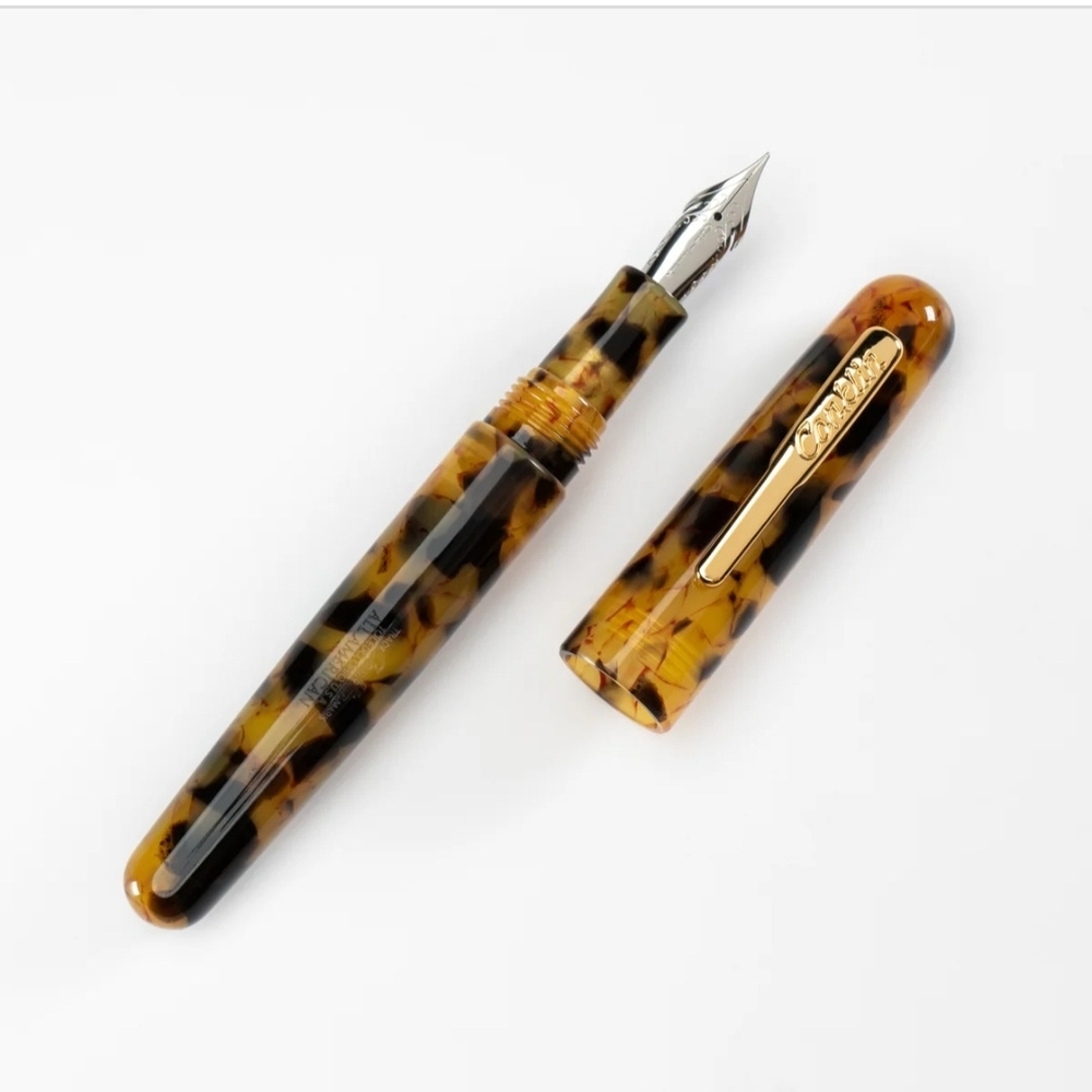 Elegant Brown Fountain Pen Fine Tip